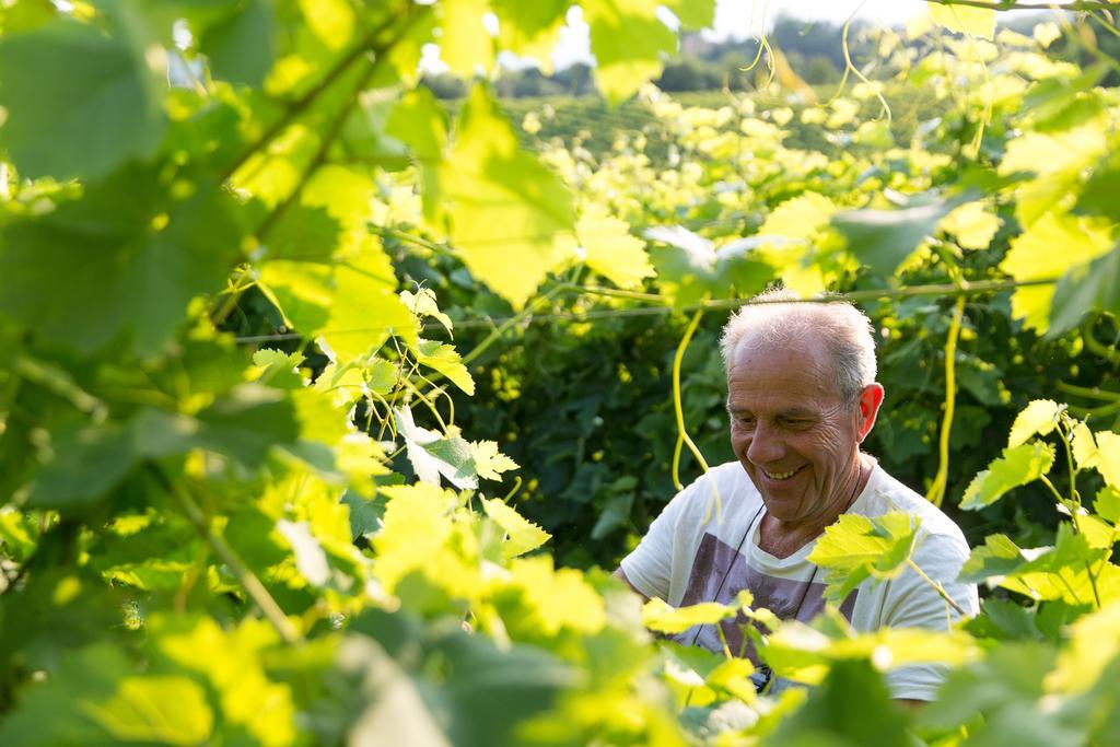 Villa Prosecco Tarzo Εξωτερικό φωτογραφία