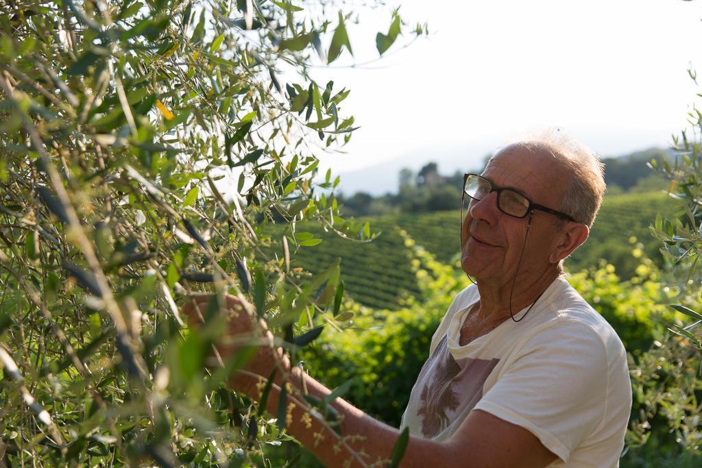 Villa Prosecco Tarzo Εξωτερικό φωτογραφία