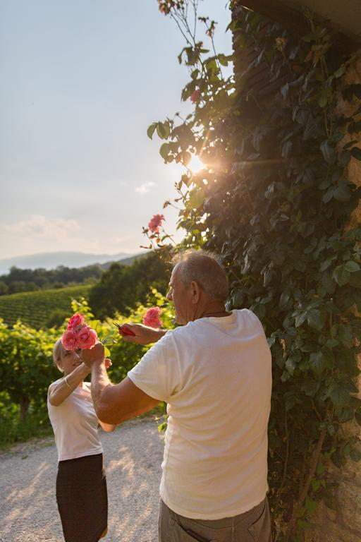 Villa Prosecco Tarzo Εξωτερικό φωτογραφία