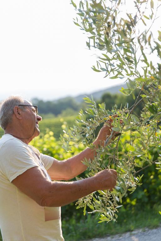 Villa Prosecco Tarzo Εξωτερικό φωτογραφία